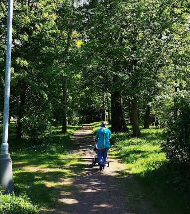 Image of Schulzovy sady park in Dvůr Králové nad Labem, Hradec Králové Region, Czechia Image of Schulzovy sady park in dvur-kralove-nad-labem, hradec-kralove-region, czechia