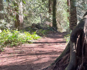 Image of Boeing Creek Park park in Shoreline, Washington, United States Image of Boeing Creek Park park in shoreline, washington, united-states