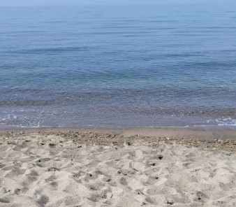 Image of Spiaggia libera park in Tarquinia, Lazio, Italy Image of Spiaggia libera park in tarquinia, lazio, italy