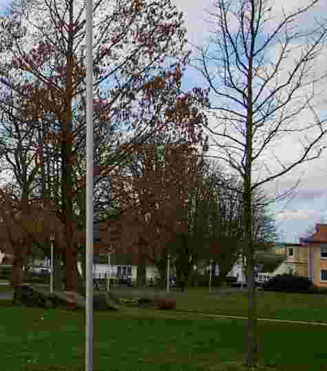 Image of Borken Park park in Kassel, Hessen, Germany Image of Borken Park park in kassel, hessen, germany