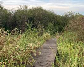 Image of Four Seasons Nature Preserve park in Lake Geneva, Wisconsin, United States Image of Four Seasons Nature Preserve park in lake-geneva, wisconsin, united-states