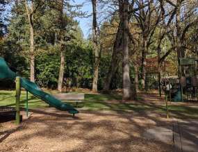 Image of Waluga Park - East park in Lake Oswego, Oregon, United States Image of Waluga Park - East park in lake-oswego, oregon, united-states