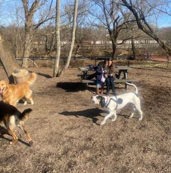 Image of French Broad River Dog Park park in Asheville, North Carolina, United States Image of French Broad River Dog Park park in asheville, north-carolina, united-states