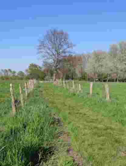 Image of Base de Loisirs des 6 Bonniers park in Willems, Upper France, France Image of Base de Loisirs des 6 Bonniers park in willems, upper-france, france