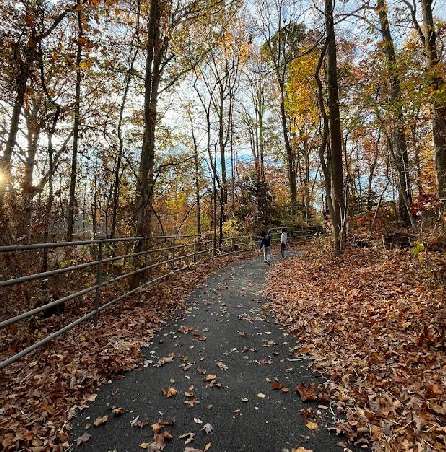 Image of Wolf Trails Park park in Vienna, Virginia, United States Image of Wolf Trails Park park in vienna, virginia, united-states