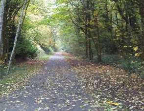 Image of Woodland Trail / Frederick Street Crossing park in Olympia, Washington, United States Image of Woodland Trail / Frederick Street Crossing park in olympia, washington, united-states