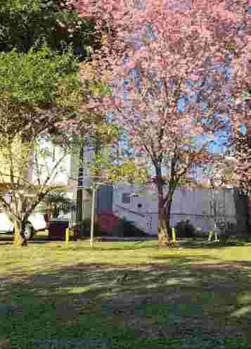 Image of Parque da Vila Izabel park in Curitiba, Parana, Brazil Image of Parque da Vila Izabel park in curitiba, parana, brazil