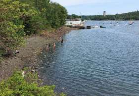 Image of Conrose Park park in Halifax, Nova Scotia, Canada Image of Conrose Park park in halifax, nova-scotia, canada