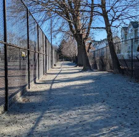 Image of Pemberton Street Dog Run park in Cambridge, Maryland, United States Image of Pemberton Street Dog Run park in cambridge, maryland, united-states
