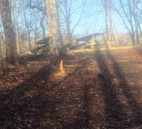 Image of Great Blue Heron Loop Trail park in Greensboro, North Carolina, United States Image of Great Blue Heron Loop Trail park in greensboro, north-carolina, united-states