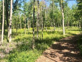 Image of Woodland Hills Hiking Trails park in Farmington Hills, Michigan, United States Image of Woodland Hills Hiking Trails park in farmington-hills, michigan, united-states