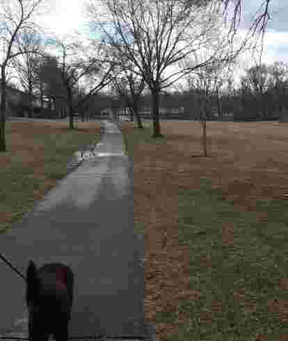 Image of Covenant Park park in St. Peters, Missouri, United States Image of Covenant Park park in st-peters, missouri, united-states