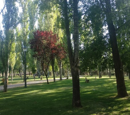 Image of Parque Remuel park in Valladolid, Valladolid, Spain Image of Parque Remuel park in valladolid, valladolid, spain