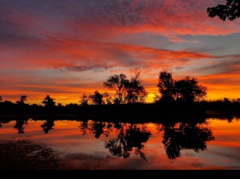 Image of Firestone Metro Park-Confluence Area park in Akron, Ohio, United States Image of Firestone Metro Park-Confluence Area park in akron, ohio, united-states