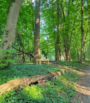 Image of Furness Park park in Nether Providence Township, Pennsylvania, United States Image of Furness Park park in nether-providence-township, pennsylvania, united-states