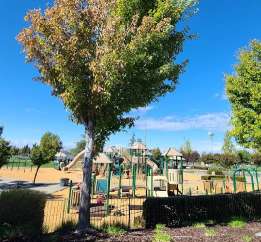 Image of Whitney Ranch Park park in Rocklin, California, United States Image of Whitney Ranch Park park in rocklin, california, united-states