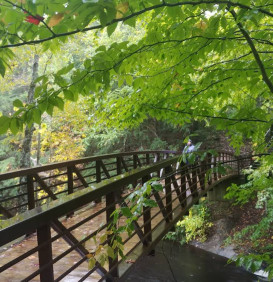 Image of Stubb's Falls Trail park in Huntsville, Ontario, Canada Image of Stubb's Falls Trail park in huntsville, ontario, canada