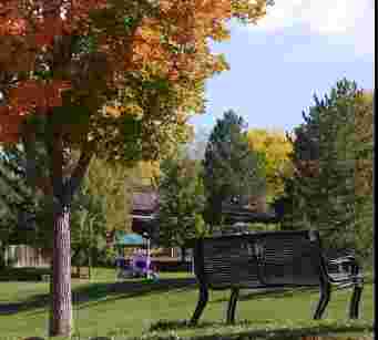 Image of Clarkson Park park in Centennial, Colorado, United States Image of Clarkson Park park in centennial, colorado, united-states
