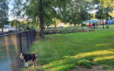 Image of Aberdeen Dog Park park in Aberdeen, Maryland, United States Image of Aberdeen Dog Park park in aberdeen, maryland, united-states
