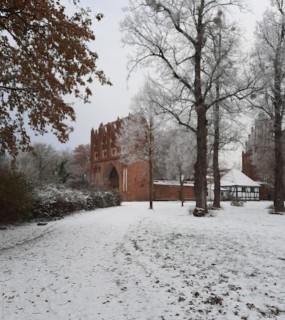 Image of Platz der Jugend park in Neubrandenburg, Mecklenburg-Vorpommern, Germany Image of Platz der Jugend park in neubrandenburg, mecklenburg-vorpommern, germany