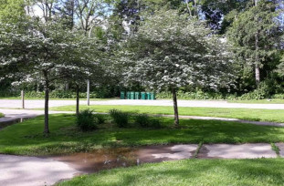 Image of Curtiss Park park in Saline, Michigan, United States Image of Curtiss Park park in saline, michigan, united-states