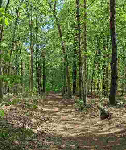 Image of River Highlands State Park park in Cromwell, Connecticut, United States Image of River Highlands State Park park in cromwell, connecticut, united-states