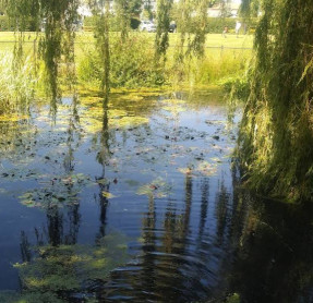 Image of Iroquois Park park in Sidney, British Columbia, Canada Image of Iroquois Park park in sidney, british-columbia, canada
