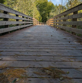 Image of Crossroads At Big Creek park in Sturgeon Bay, Wisconsin, United States Image of Crossroads At Big Creek park in sturgeon-bay, wisconsin, united-states