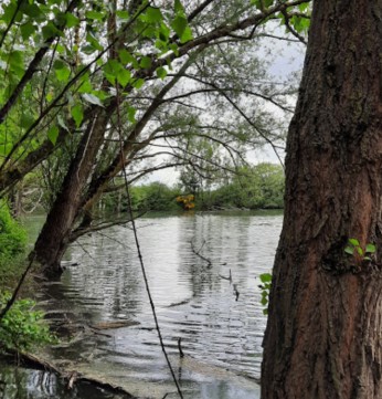 Image of Lacs de Valette park in Layrac-sur-Tarn, Occitania, France Image of Lacs de Valette park in layrac-sur-tarn, occitania, france