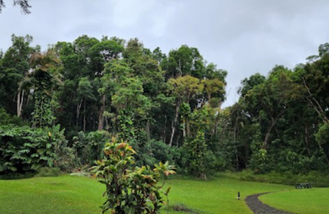 Image of Kaumahina State Wayside Park park in Haiku-Pauwela, Hawaii, United States Image of Kaumahina State Wayside Park park in haiku-pauwela, hawaii, united-states