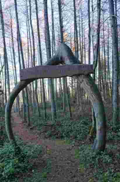 Image of Traumschleife Römer-Keltenpfad park in Farschweiler, Rhineland-Palatinate, Germany Image of Traumschleife Römer-Keltenpfad park in farschweiler, rhineland-palatinate, germany