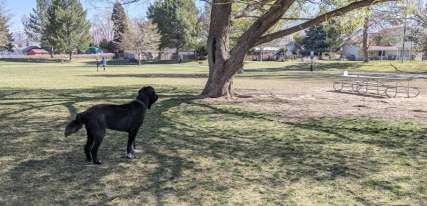 Image of Cottonwood Dog Park park in Salt Lake City, Utah, United States Image of Cottonwood Dog Park park in Salt Lake City, Utah, United States