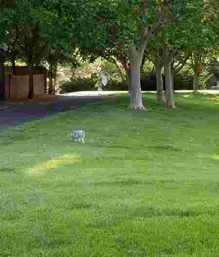 Image of Shadow Mountain Park park in St. George, Utah, United States Image of Shadow Mountain Park park in st-george, utah, united-states