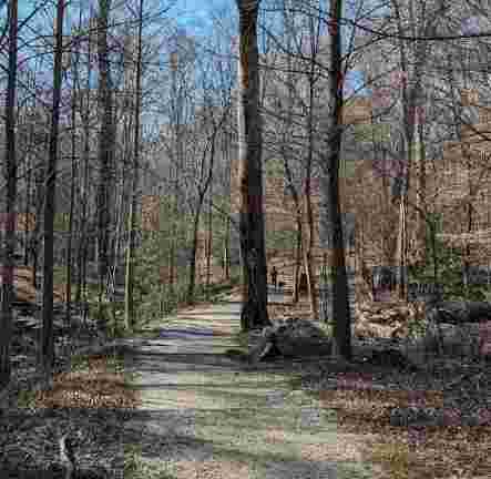 Image of Deepdene Park park in Atlanta, Georgia, United States Image of Deepdene Park park in atlanta, georgia, united-states