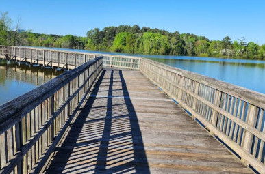 Image of Crabtree Creek Trail access park in Raleigh, North Carolina, United States Image of Crabtree Creek Trail access park in raleigh, north-carolina, united-states
