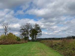 Image of Garvin Brown Nature Preserve, Prospect, KY park in Prospect, Pennsylvania, United States Image of Garvin Brown Nature Preserve, Prospect, KY park in prospect, pennsylvania, united-states