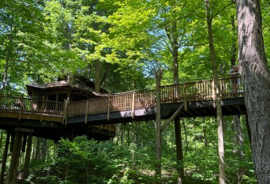 Image of Mt. Airy Forest park in Cincinnati, Ohio, United States Image of Mt. Airy Forest park in cincinnati, ohio, united-states