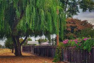 Image of Virginia Trail park in Modesto, California, United States Image of Virginia Trail park in modesto, california, united-states
