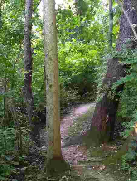 Image of River Bluff Trails Park park in Saint Joseph, Missouri, United States Image of River Bluff Trails Park park in saint-joseph, missouri, united-states