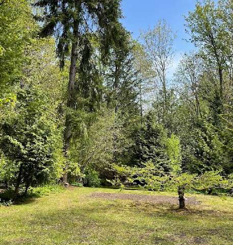 Image of Walker Preserve park in Normandy Park, Washington, United States Image of Walker Preserve park in normandy-park, washington, united-states
