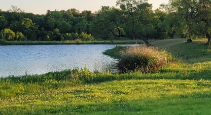 Image of Nob Hill Greenbelt park in Carrollton, Georgia, United States Image of Nob Hill Greenbelt park in carrollton, georgia, united-states