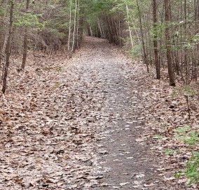 Image of Atlantic Way Trail park in Saco, Maine, United States Image of Atlantic Way Trail park in saco, maine, united-states