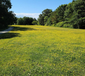 Image of Birchwood Malibu Park park in Virginia Beach, Virginia, United States Image of Birchwood Malibu Park park in virginia-beach, virginia, united-states