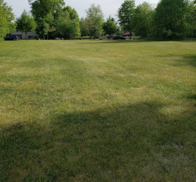 Image of Conifer park and nature trails park in Stevens Point, Wisconsin, United States Image of Conifer park and nature trails park in stevens-point, wisconsin, united-states