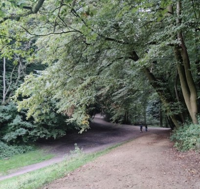 Image of Bois de la Cambre park in Brussels, Brabant, Belgium Image of Bois de la Cambre park in brussels, brabant, belgium