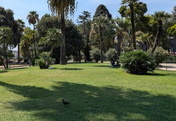 Image of Giardini del Molosiglio park in Naples, Campania, Italy Image of Giardini del Molosiglio park in naples, campania, italy