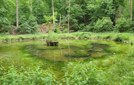 Image of ehemaliger Schloss Park park in Basdorf, Brandenburg, Germany Image of ehemaliger Schloss Park park in basdorf, brandenburg, germany