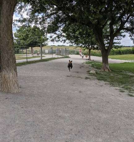 Image of Swift Run Dog Park park in Ann Arbor, Michigan, United States Image of Swift Run Dog Park park in ann-arbor, michigan, united-states