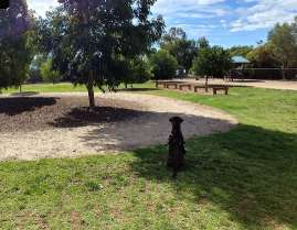 Image of Kingswood Crescent Reserve Dog Park park in Paralowie, South Australia, Australia Image of Kingswood Crescent Reserve Dog Park park in paralowie, south-australia, australia
