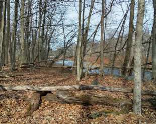 Image of Yetter Park park in East Stroudsburg, Pennsylvania, United States Image of Yetter Park park in east-stroudsburg, pennsylvania, united-states